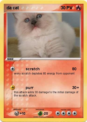 Pokemon da cat