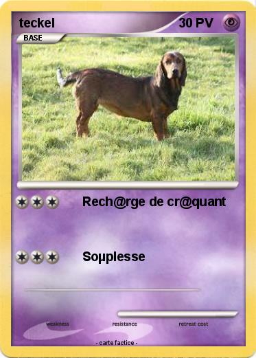Pokemon teckel