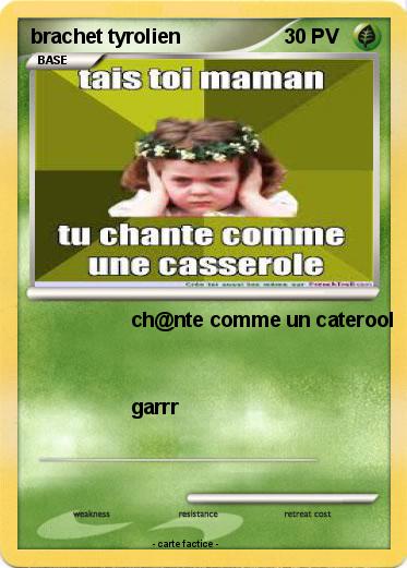 Pokemon brachet tyrolien