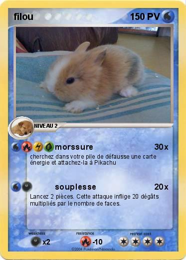 Pokemon filou