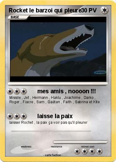 Pokemon Rocket le barzoi qui pleure