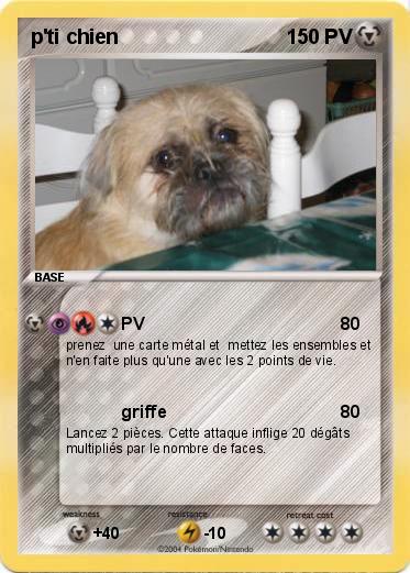 Pokemon p'ti chien
