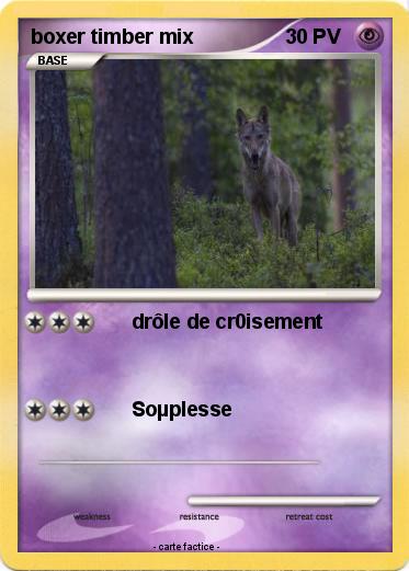 Pokemon boxer timber mix