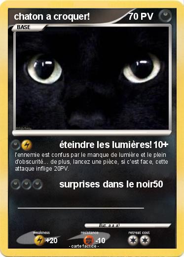 Pokemon chaton a croquer!