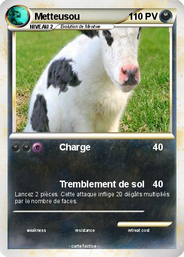 Pokemon Metteusou