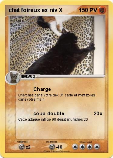 Pokemon chat foireux ex niv X