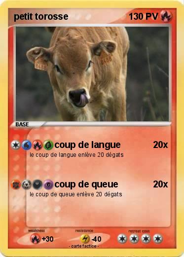 Pokemon petit torosse