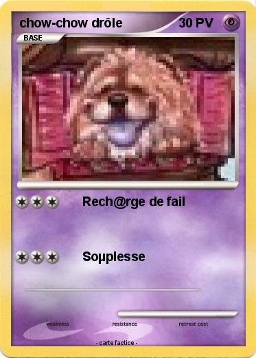 Pokemon chow-chow drôle
