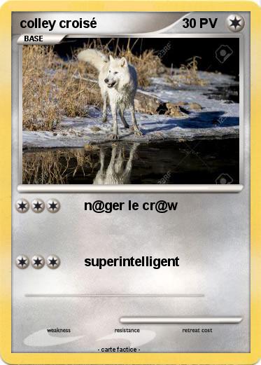 Pokemon colley croisé