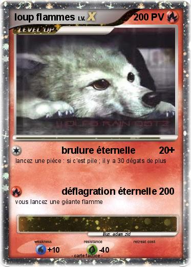 Pokemon loup flammes