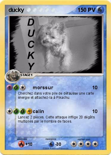 Pokemon ducky
