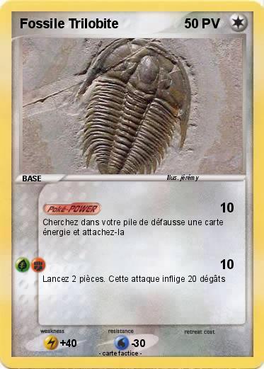 Pokemon Fossile Trilobite