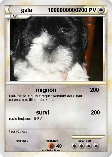 Pokemon gala          1000000000