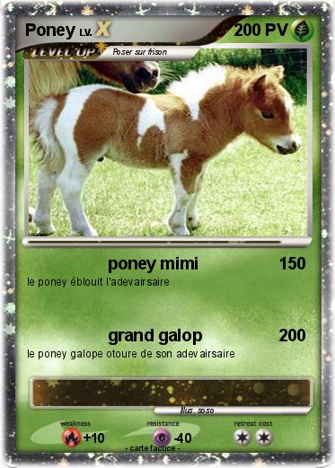 Pokemon Poney