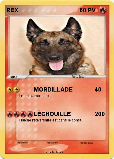 Pokemon REX