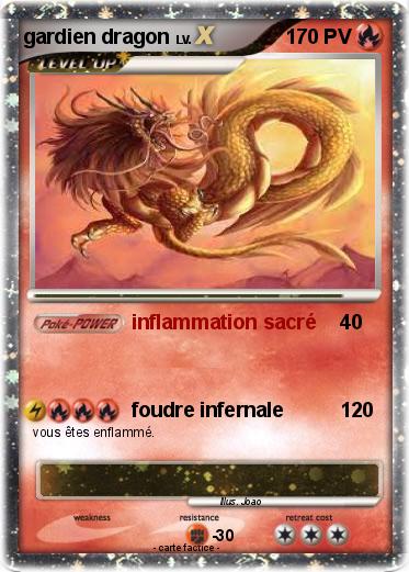 Pokemon gardien dragon