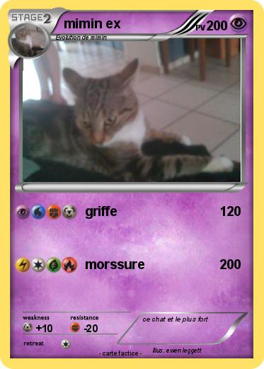 Pokemon mimin ex