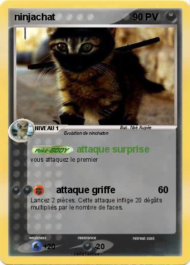 Pokemon ninjachat