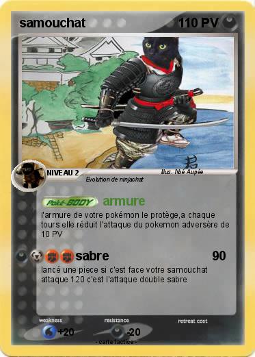 Pokemon samouchat