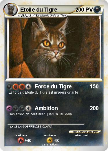 Pokemon Etoile du Tigre