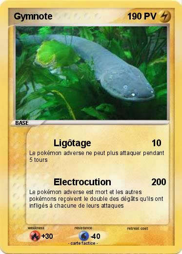 Pokemon Gymnote