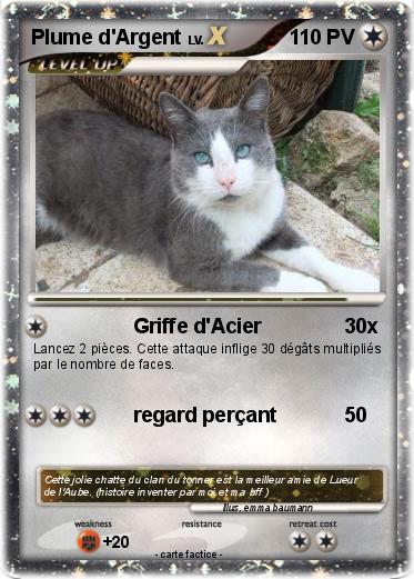 Pokemon Plume d'Argent