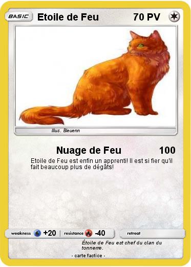 Pokemon Etoile de Feu