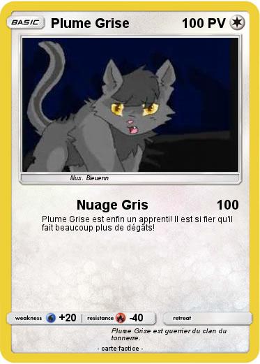 Pokemon Plume Grise