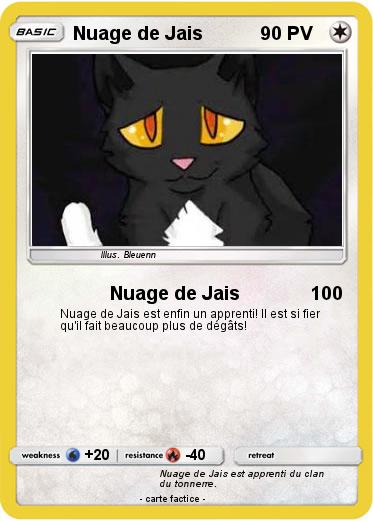 Pokemon Nuage de Jais