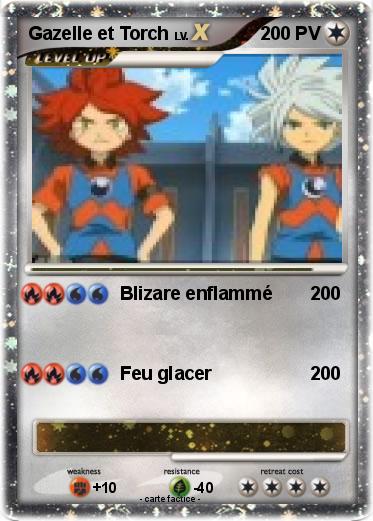 Pokemon Gazelle et Torch