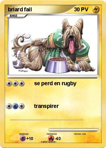 Pokemon briard fail