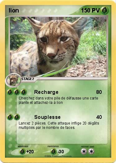 Pokemon lion