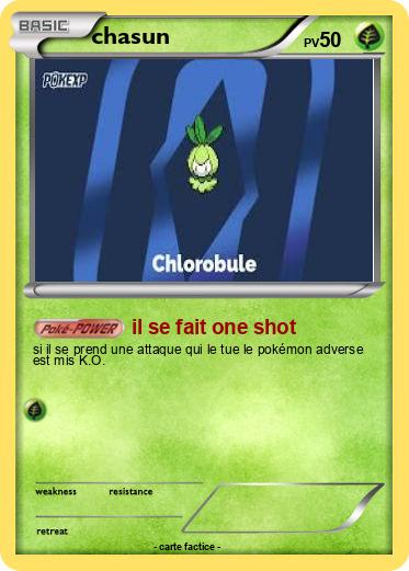 Pokemon chasun