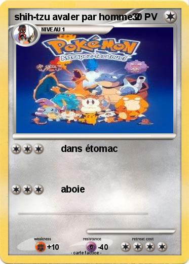 Pokemon shih-tzu avaler par homme 2