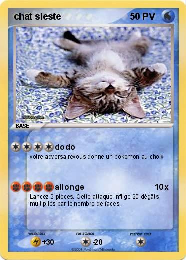 Pokemon chat sieste