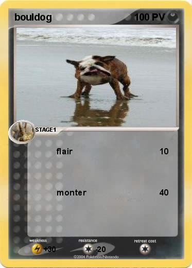 Pokemon bouldog