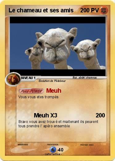 Pokemon Le chameau et ses amis