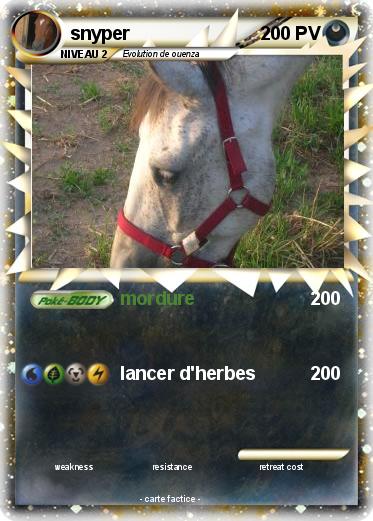 Pokemon snyper