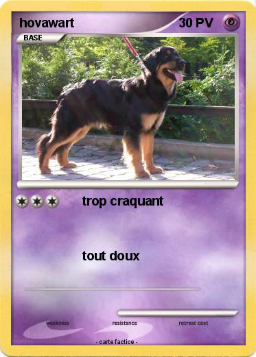 Pokemon hovawart