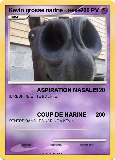 Pokemon Kevin grosse narine