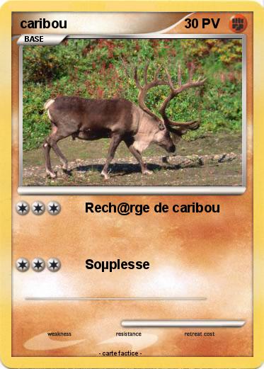 Pokemon caribou