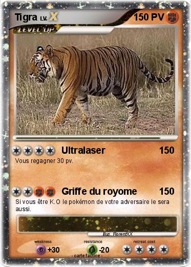 Pokemon Tigra
