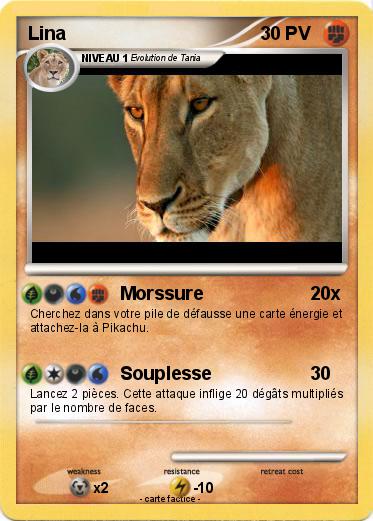 Pokemon Lina