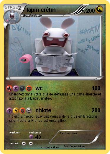 Pokemon lapin crétin