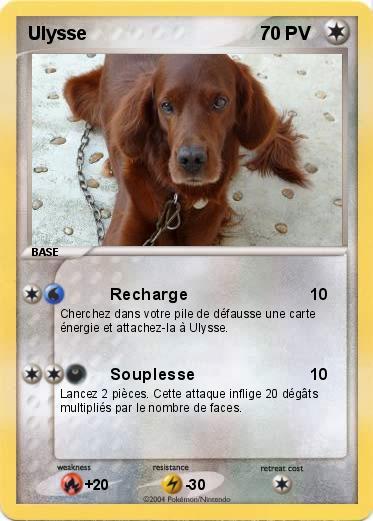 Pokemon Ulysse