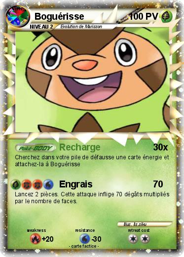 Pokemon Boguérisse