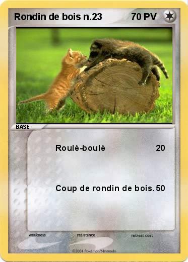 Pokemon Rondin de bois n.23