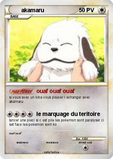 Pokemon akamaru