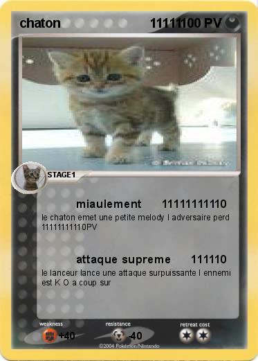 Pokemon chaton                         11111