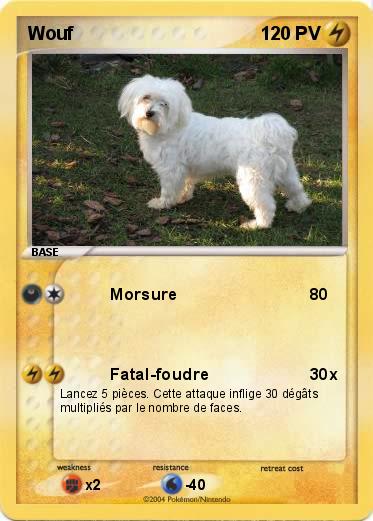 Pokemon Wouf